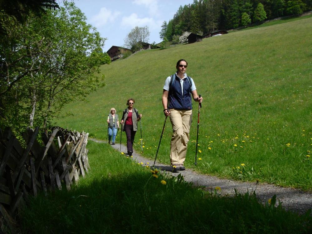 Hotel Gasthof Kroell - Inkl Nationalpark-Karte, 1 X Grossglockner Hochalpenstrasse Kostenlos, Verschiedene Bergbahnen Kostenlos, Badesee Kostenlos, Bus & Zug Kostenlos, Regionale Kueche Niedernsill Esterno foto